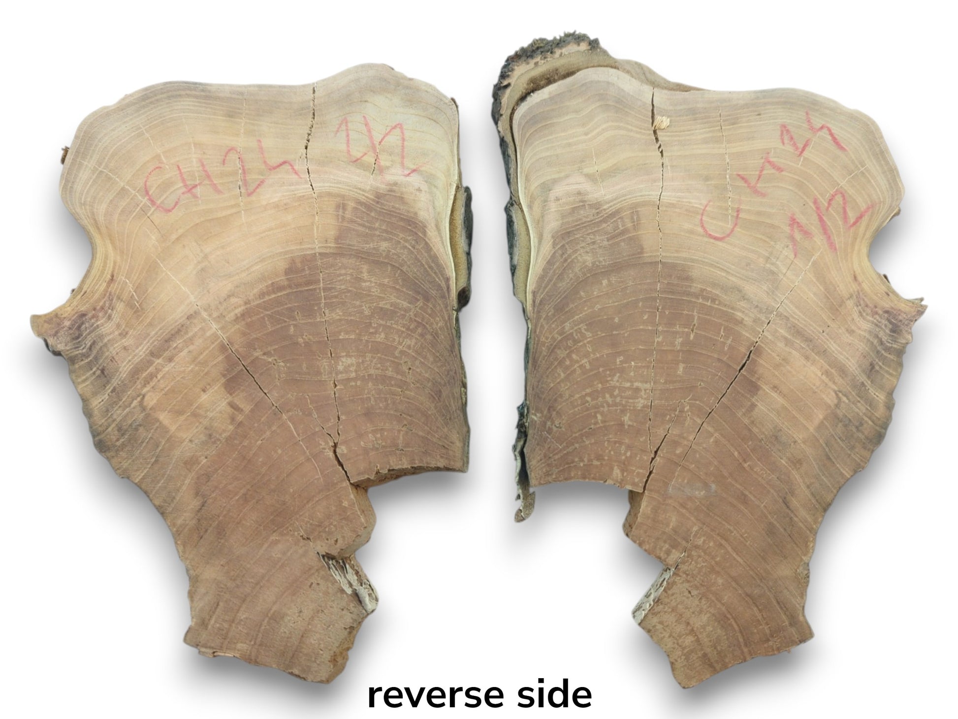 Two light brown cherry wood slices with natural edges, visible growth rings, and cracks.