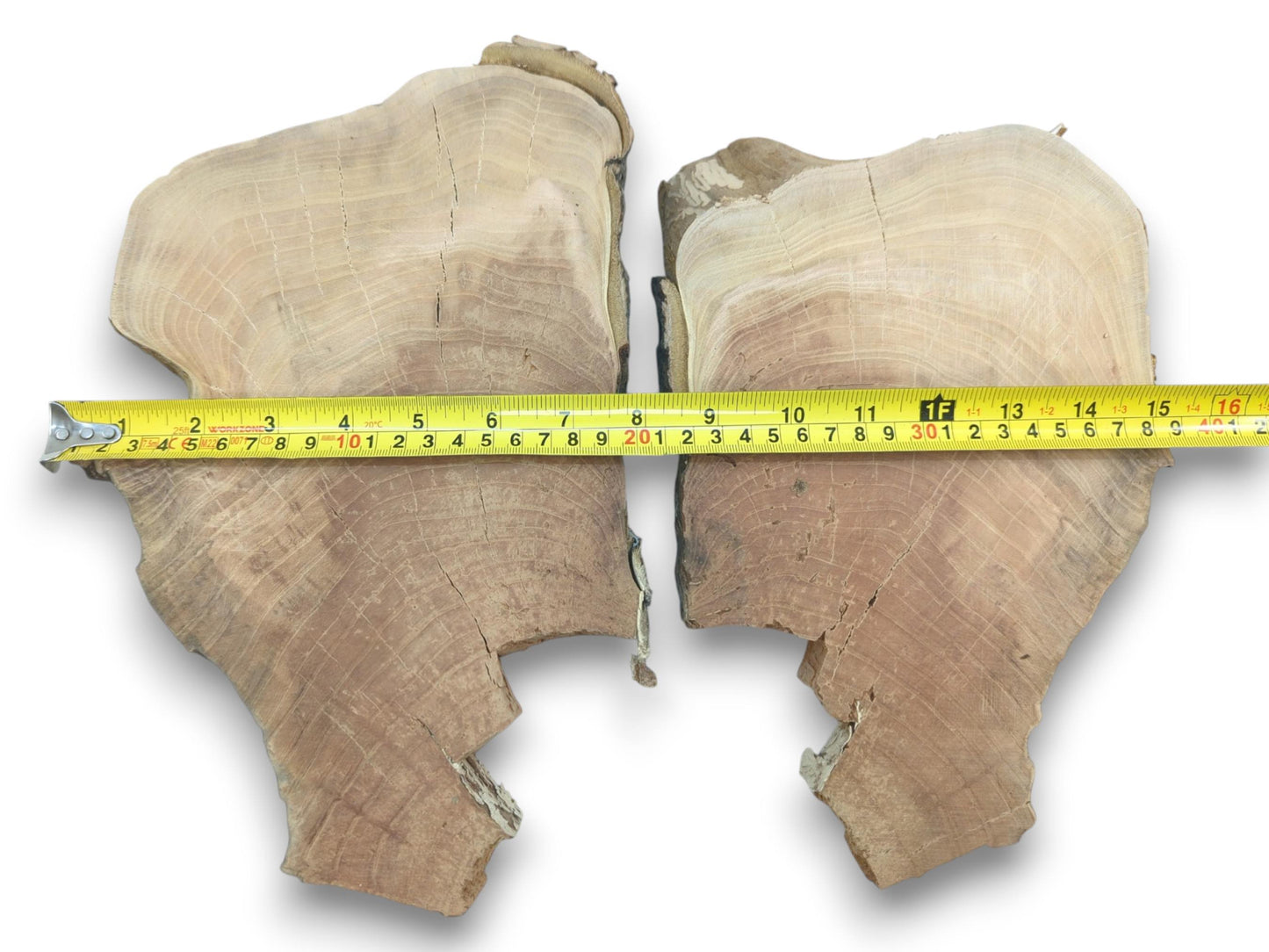 Two irregular cherry wood slices with natural edges, visible growth rings, and cracks.