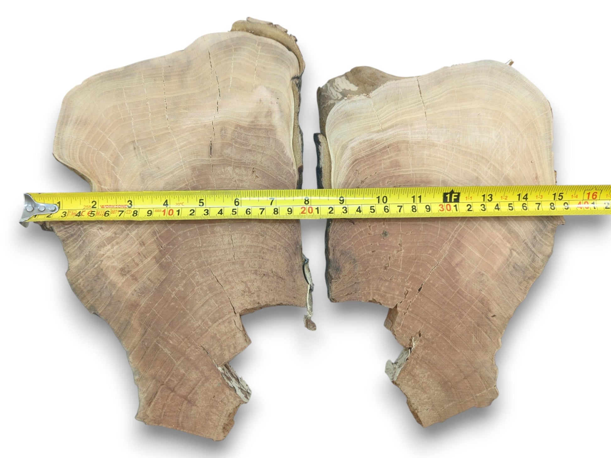 Two irregular cherry wood slices with natural edges, visible growth rings, and cracks.