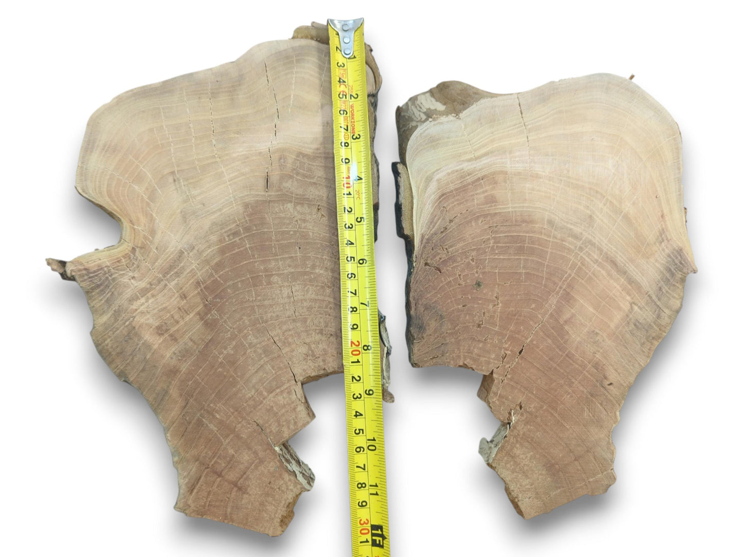 Two irregular cherry wood slices with natural edges, visible growth rings, and cracks.