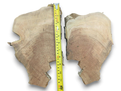 Two irregular cherry wood slices with natural edges, visible growth rings, and cracks.