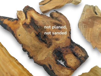 Overhead view of multiple cherry wood slices, one with rough texture and dark bark edges.