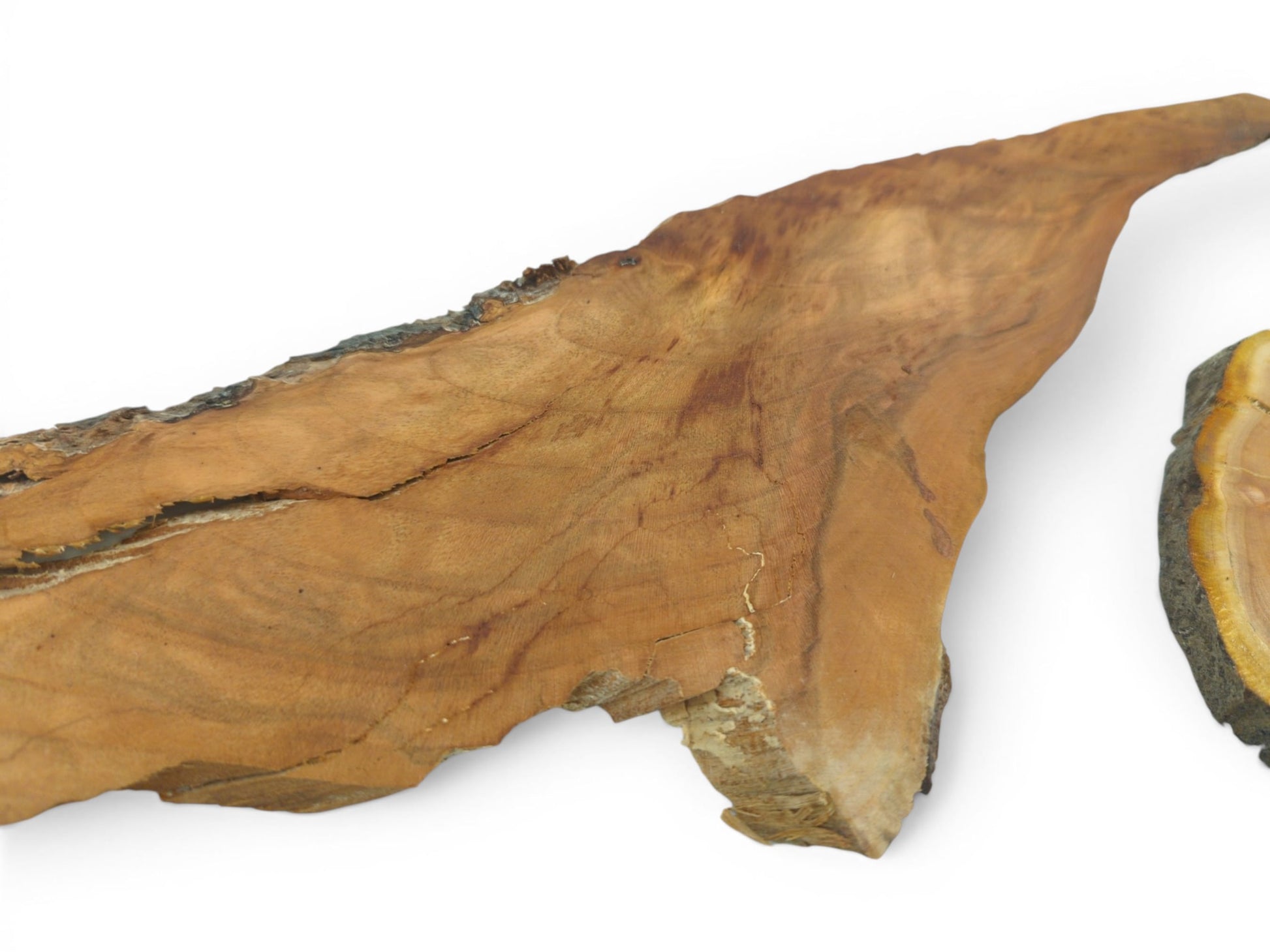 Two cherry wood pieces with live edges, one large and flat, the other a small slice.