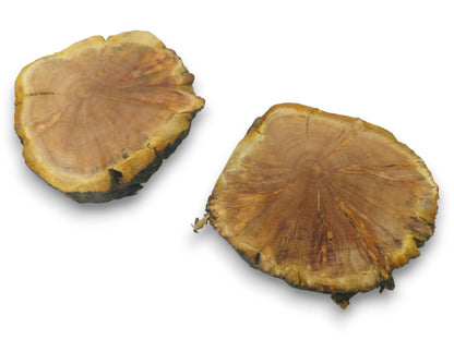Two cherry wood slices with live edges, showing distinct grain patterns and natural cracks.