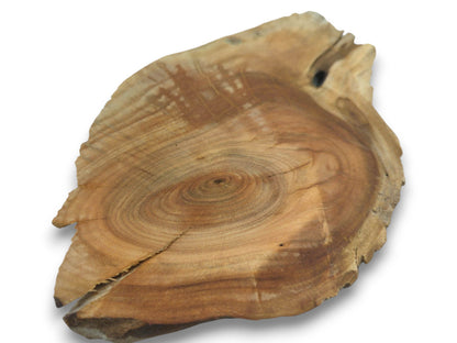 An overhead view of a single cherry wood slice with a live edge and visible growth rings.