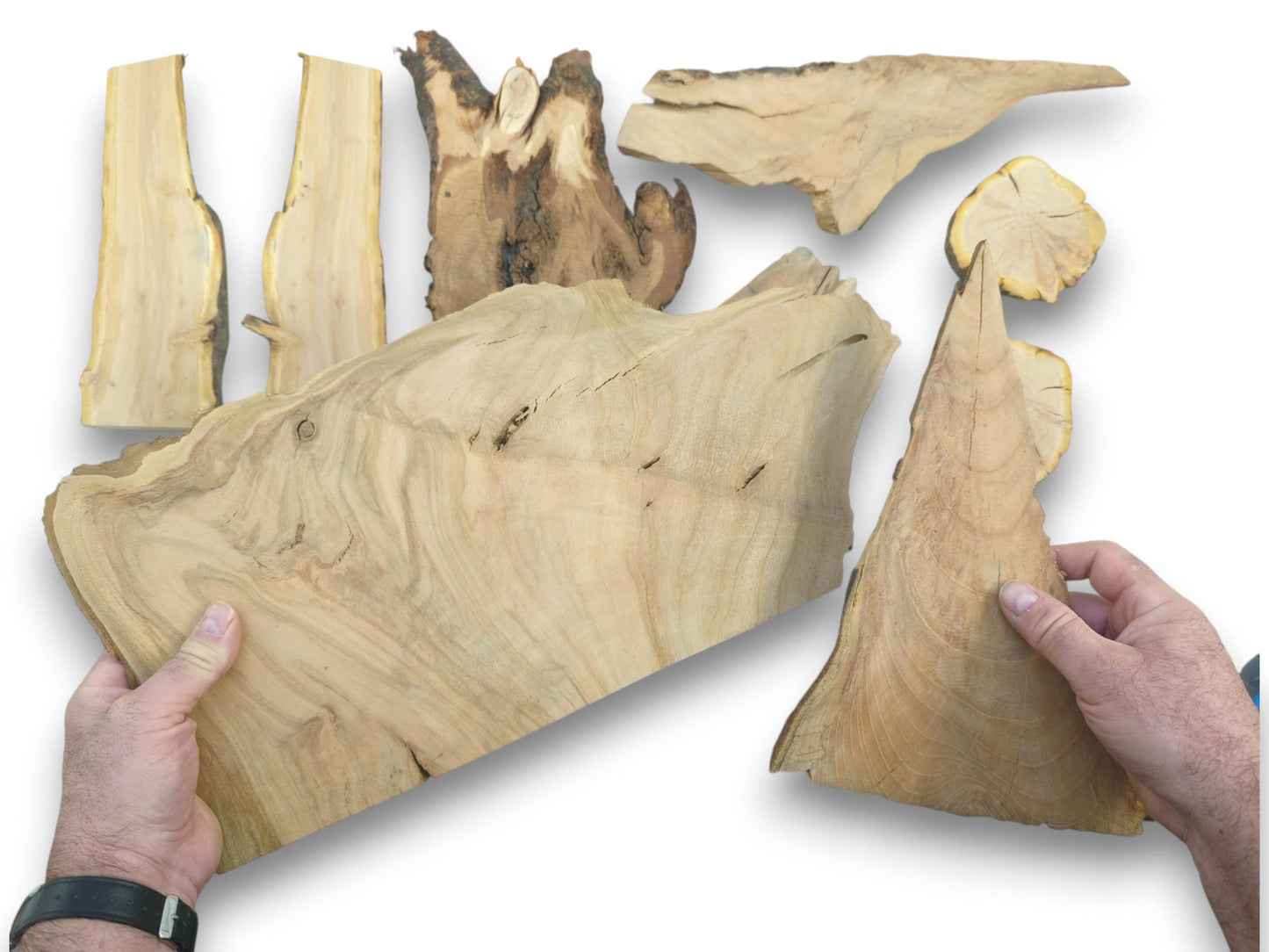Overhead view of a person holding two cherry wood pieces with natural edges and grain.