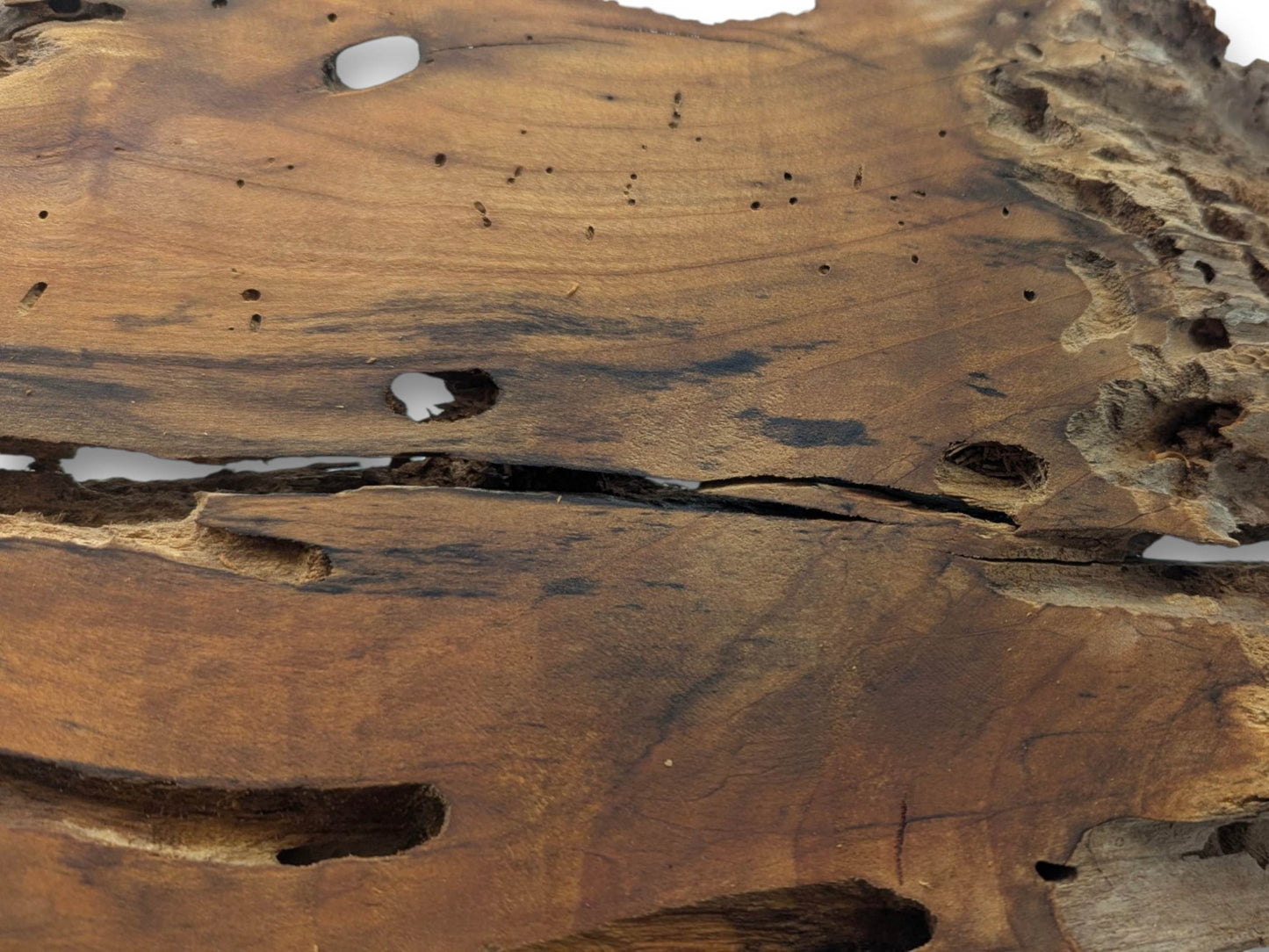 A close-up of a cherry wood slab with many holes, cracks, and a rough texture.