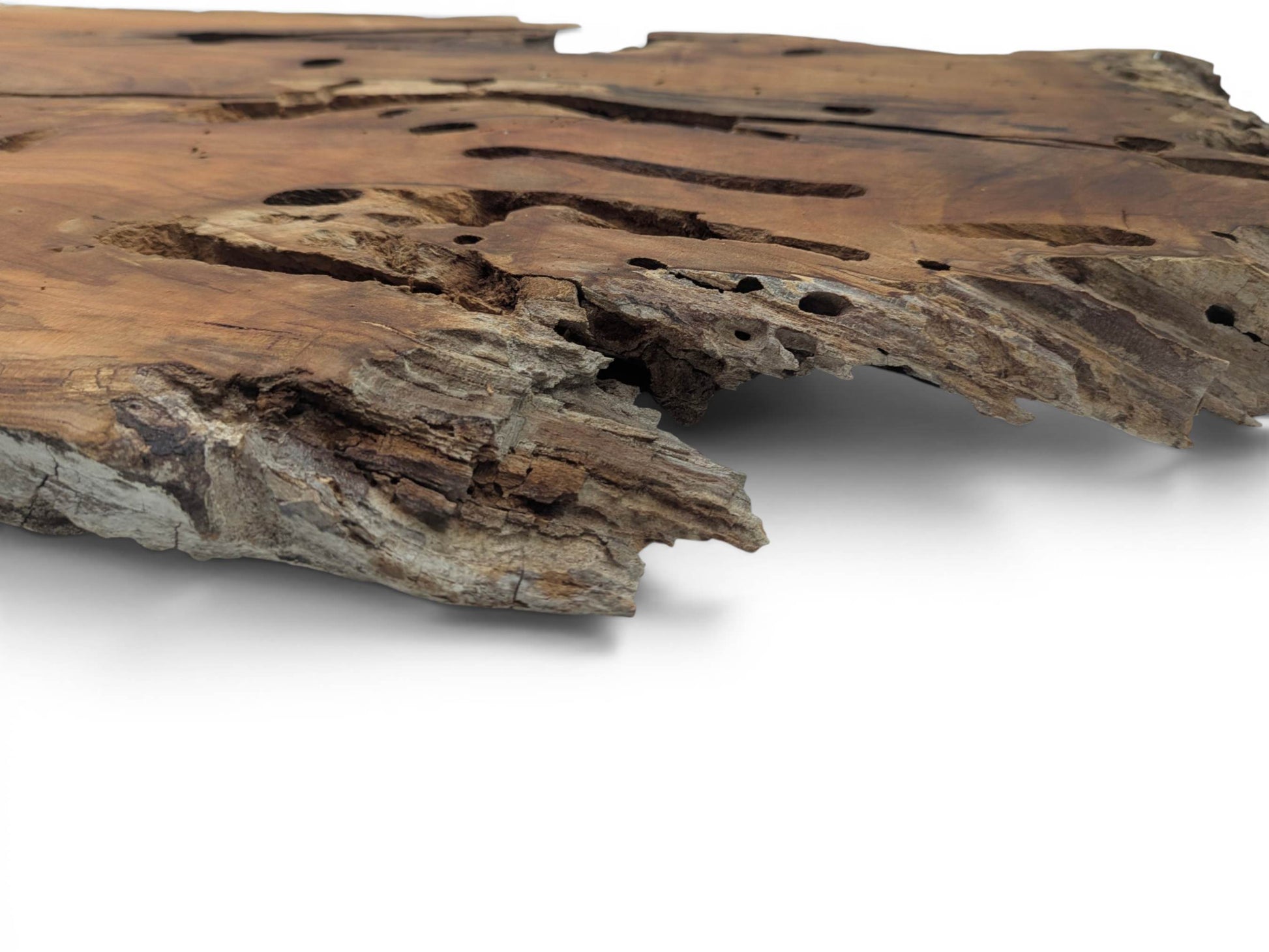 A close-up, low-angle view of a cherry wood slab with a natural live edge.