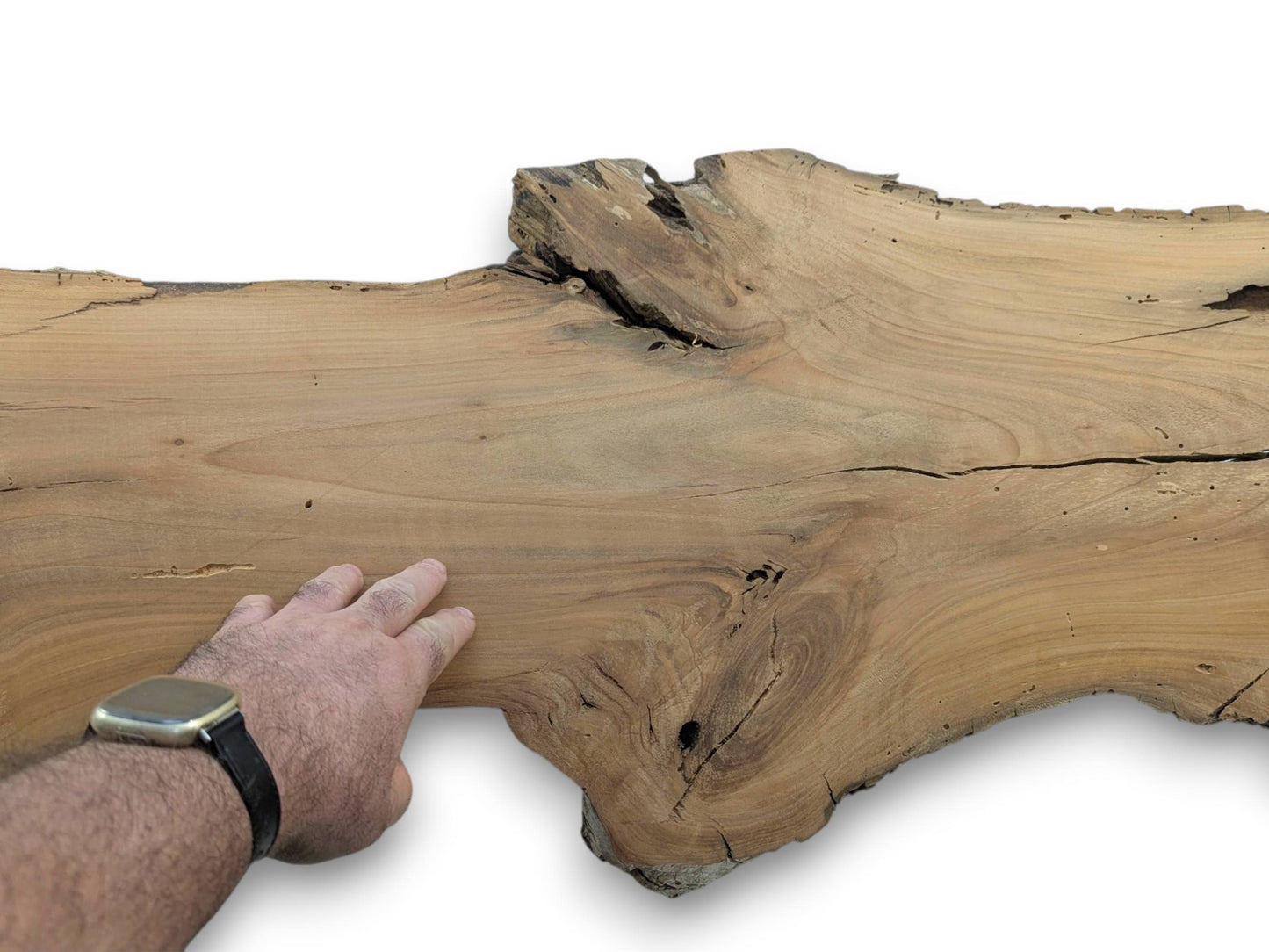 A person's hand with a watch touching a light brown cherry wood slab with a live edge.