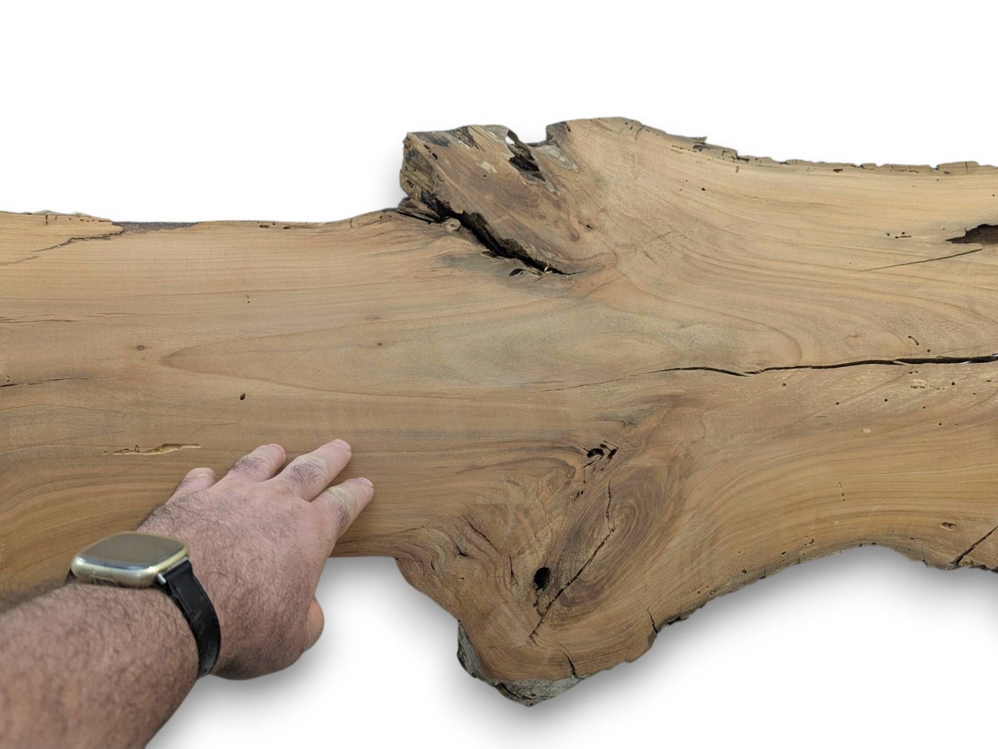 A person's hand with a watch touching a light brown cherry wood slab with a live edge.