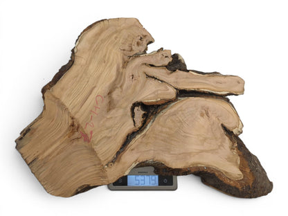 A light brown wild cherry wood slab with a live edge, visible growth rings, and bark.