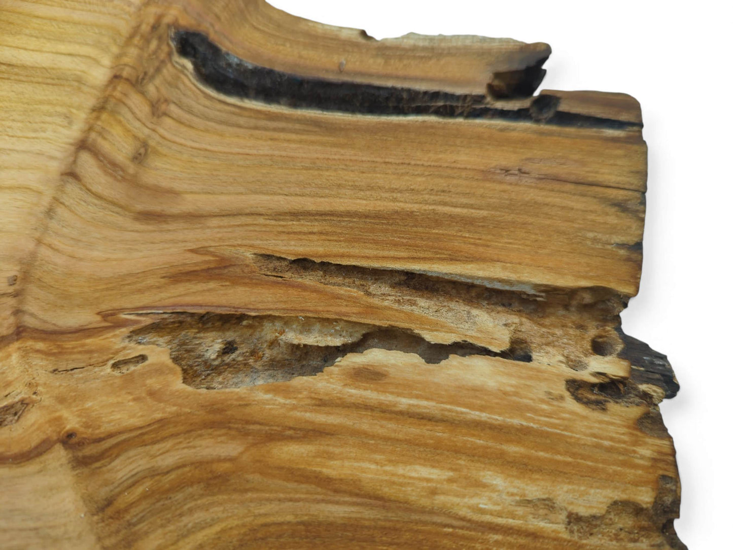 Close-up of a wild cherry wood slab, showing natural grain, dark inclusions, and rough texture.