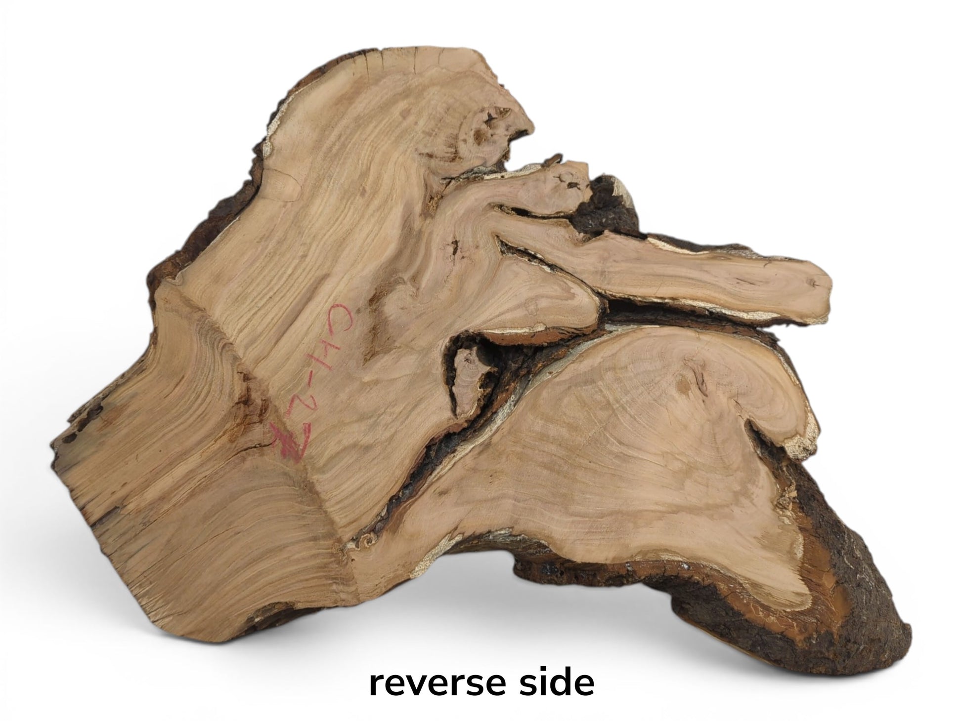 Reverse side of a wild cherry wood slab, showing natural grain and dark bark.