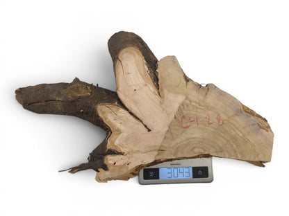 A light brown wild cherry wood slice with a natural live edge on a white background.