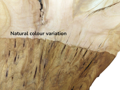 A close-up of a wild cherry wood slice showing natural color variation and vertical cracks.