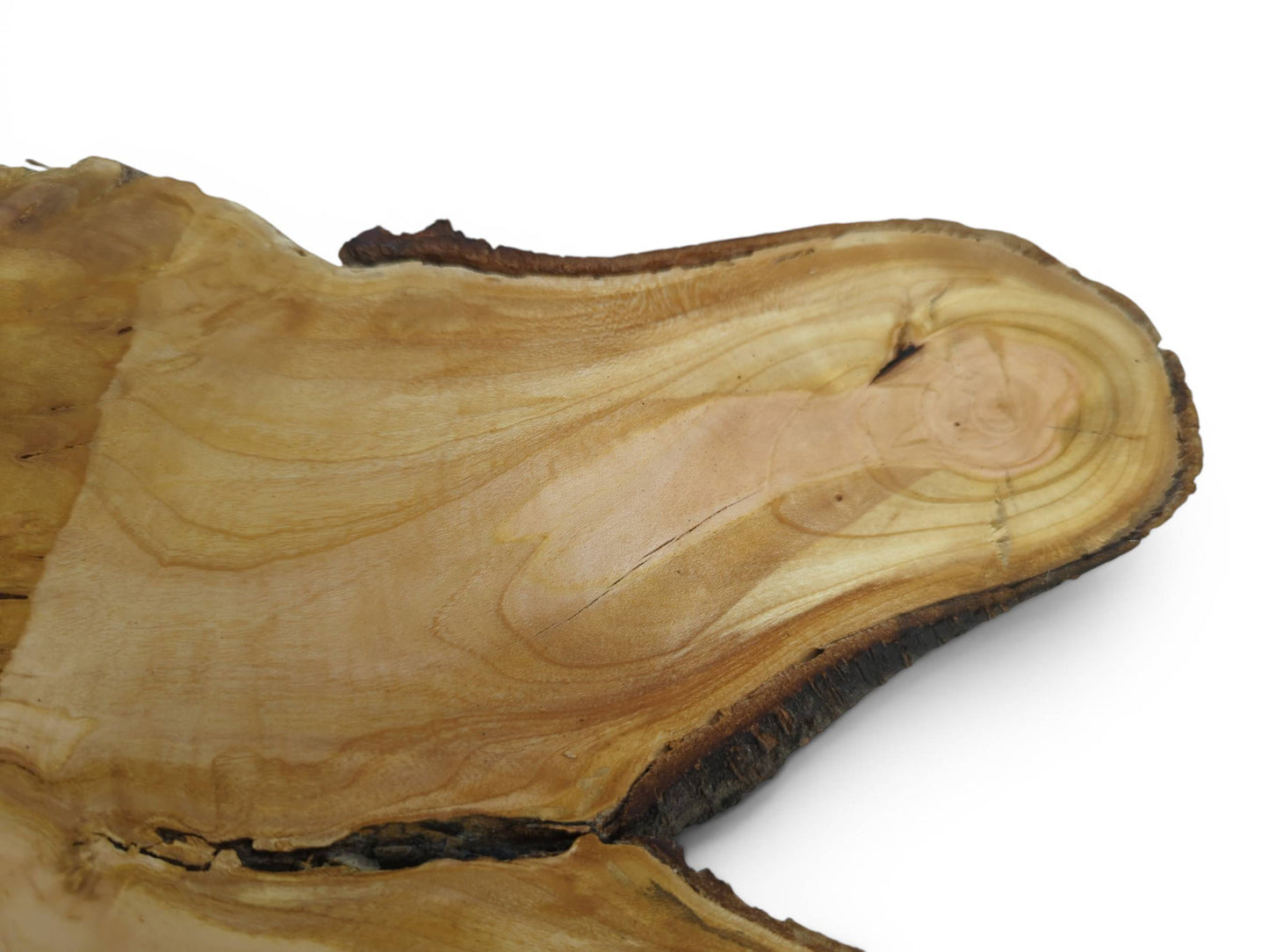 A close-up of a light brown wild cherry wood slice with natural bark edge.