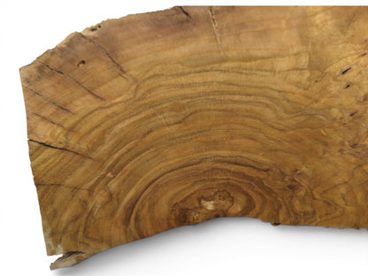 A close-up of a light brown wild cherry wood slice with prominent circular grain patterns.
