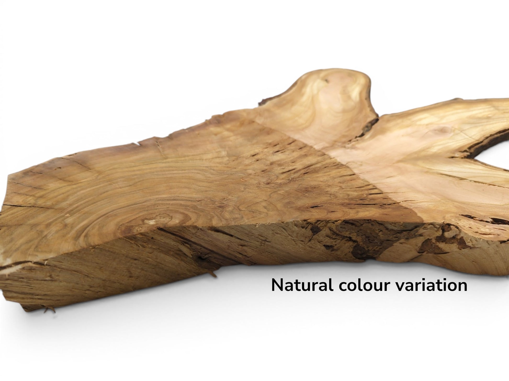A close-up of a wild cherry wood slice showing natural color variation and grain.