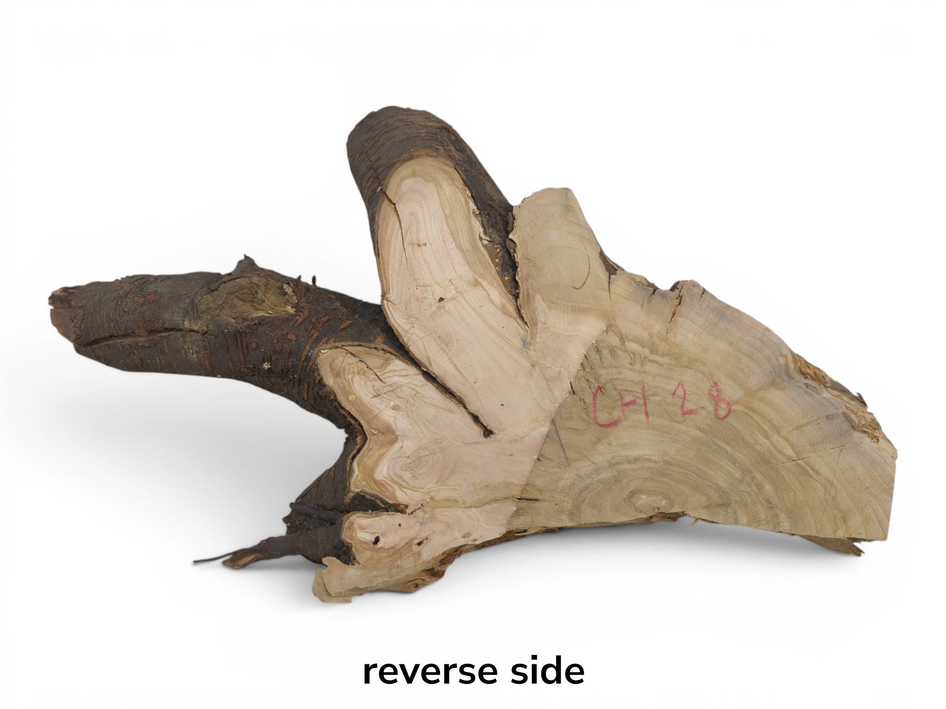 Reverse side of a wild cherry wood slice with dark bark and light wood grain.