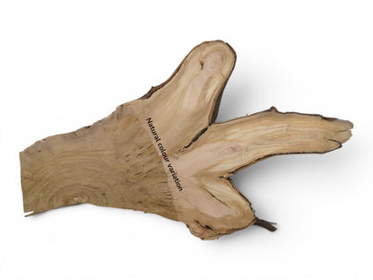 A light brown wild cherry wood slice with a natural bark edge and prominent grain.