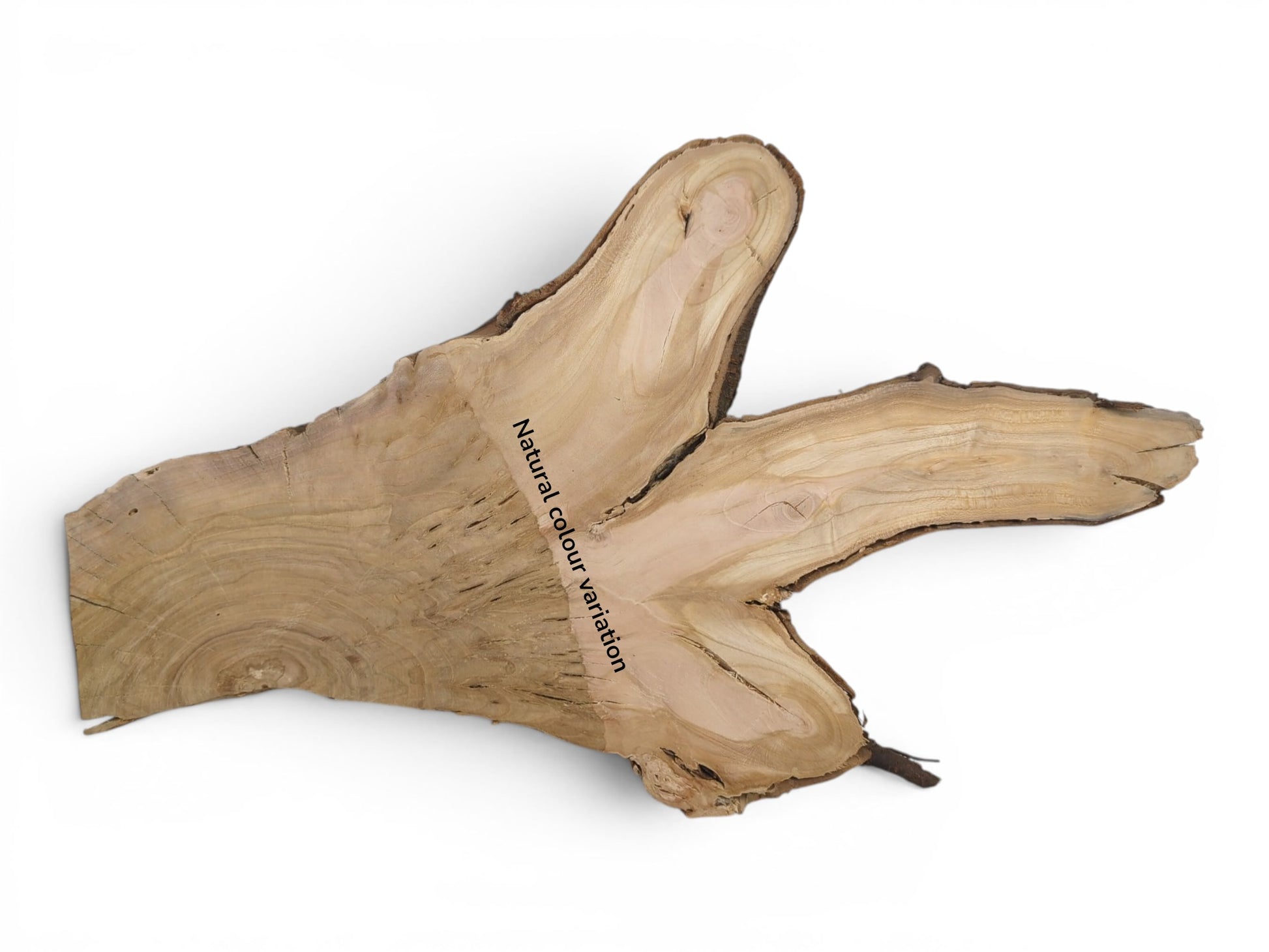 A light brown, irregularly shaped wild cherry wood slice with natural bark edges.