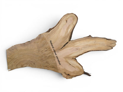 A light brown, irregularly shaped wild cherry wood slice with natural bark edges.