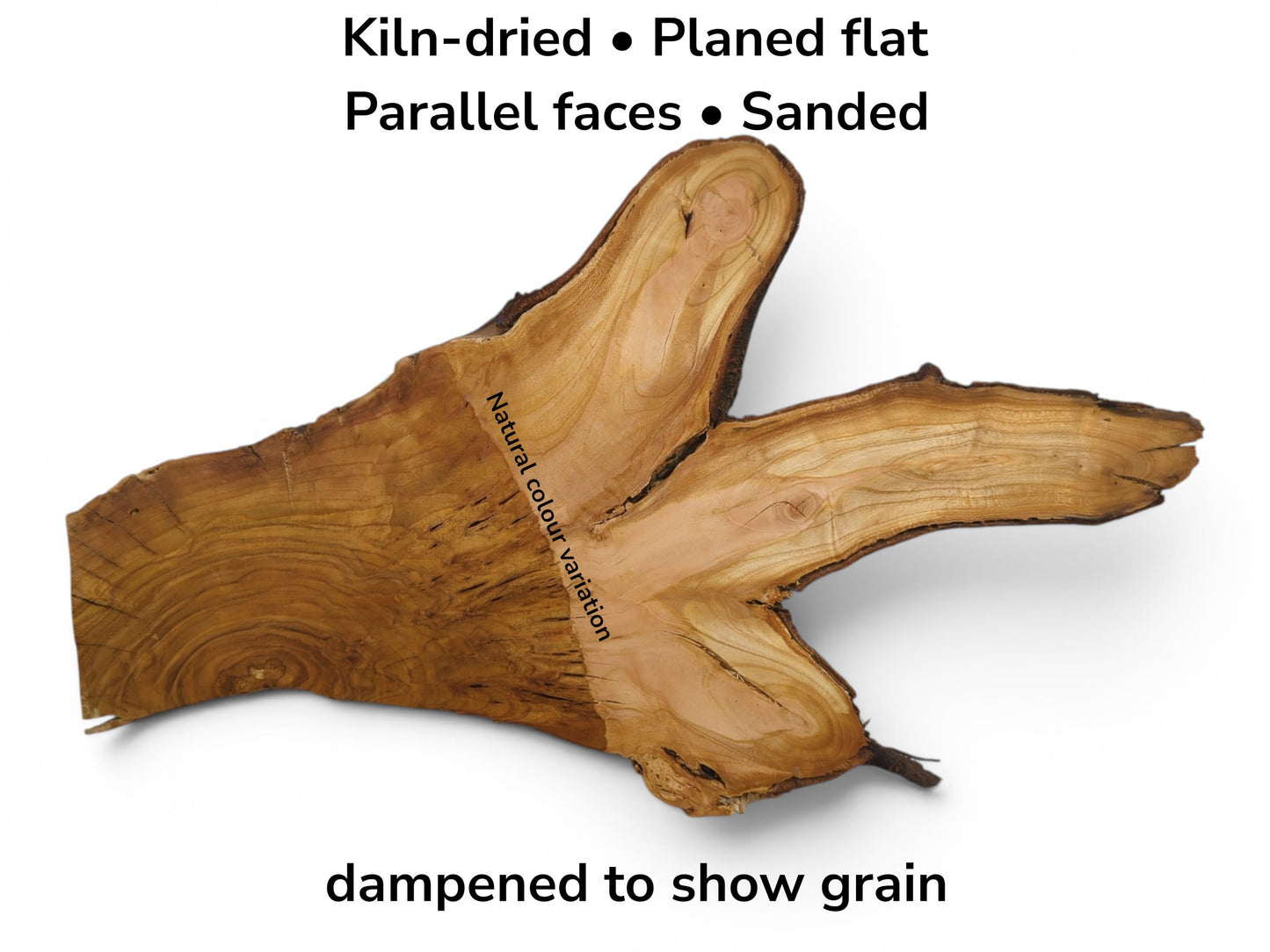 Kiln-dried, planed flat, parallel-faced, and sanded wild cherry wood slice with natural color variation.