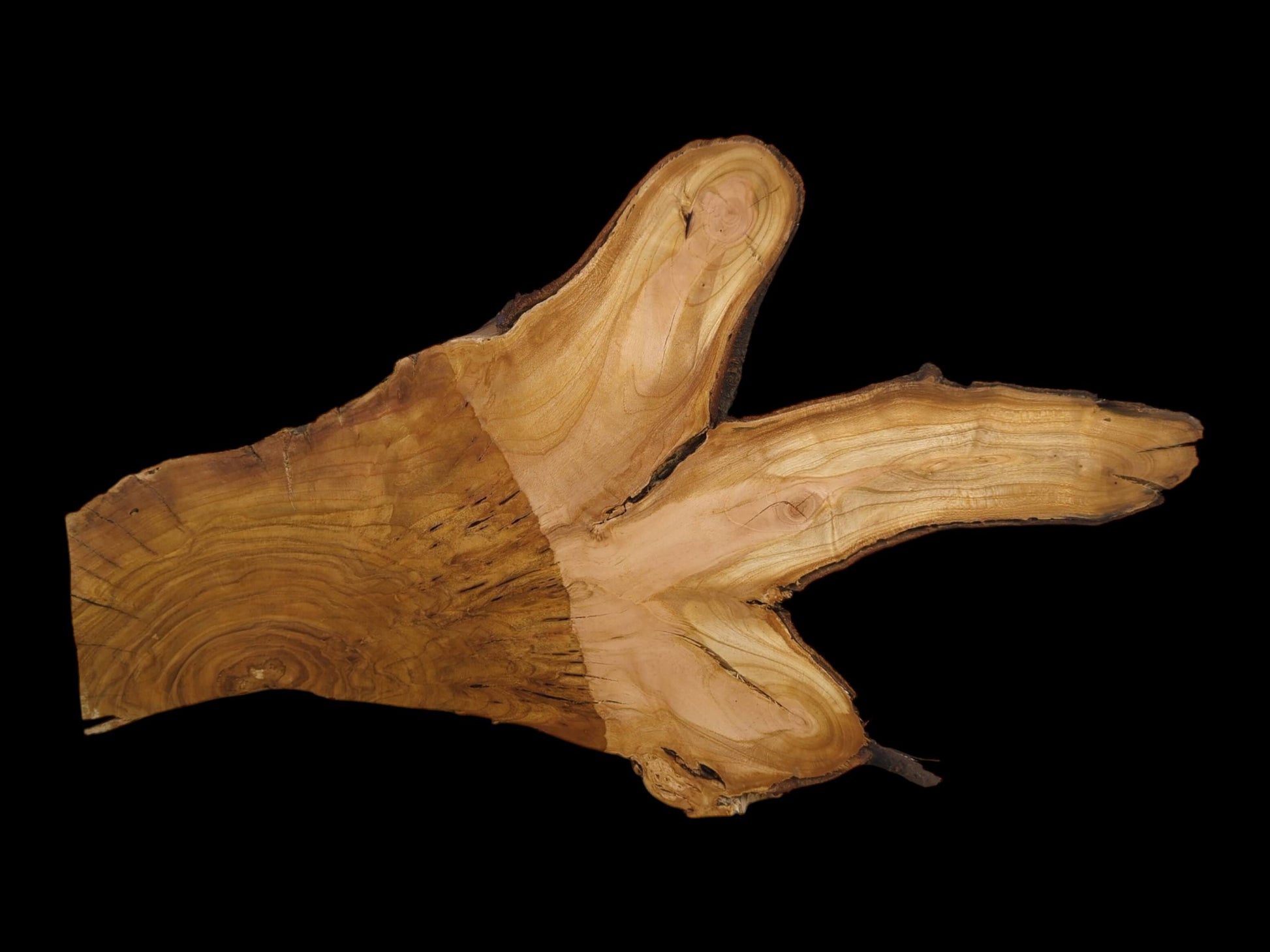 A light brown, irregularly shaped wild cherry wood slice with visible grain patterns on a black background.