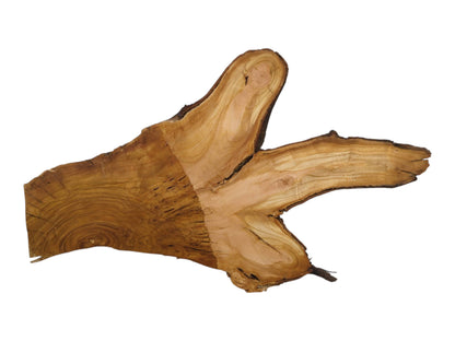 A light brown, irregularly shaped wild cherry wood slice with visible growth rings and bark.