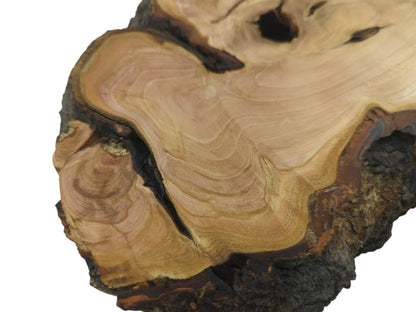 Close-up of a wild cherry wood slab with natural bark edges and visible wood grain.