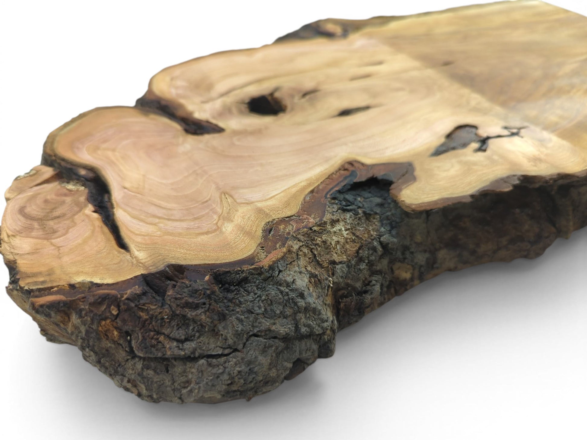 Close-up of a light brown wood slab with dark bark edges and natural cracks.