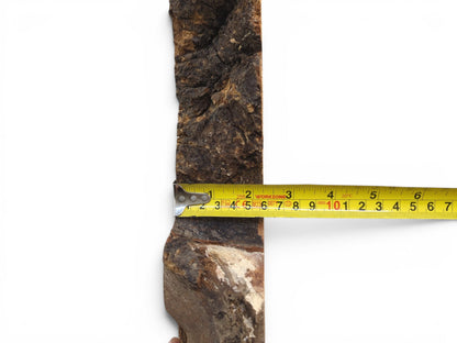 A wild cherry wood slab with dark bark edges and a measuring tape across it.