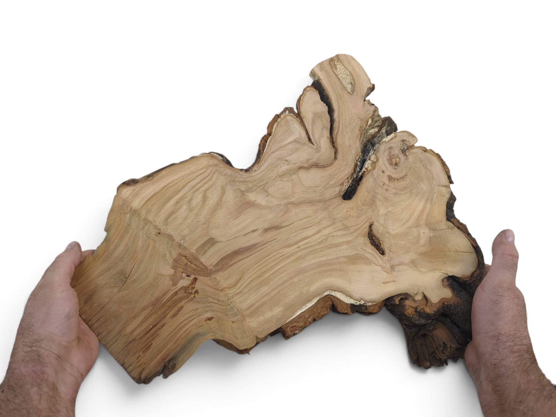 Two hands hold a large, irregularly shaped wild cherry wood slab with live edges.