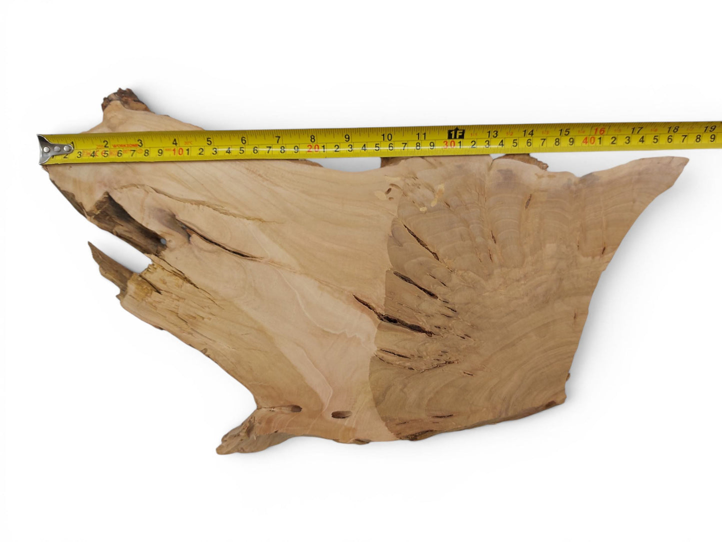 CH-032 | CH-032 (3).jpg