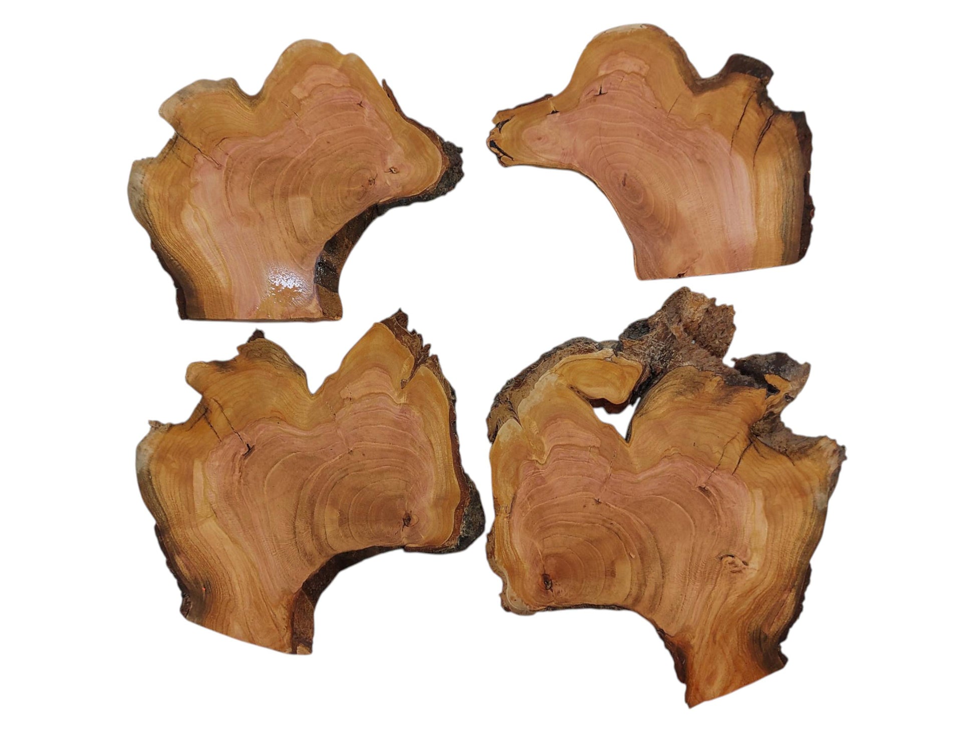CH-036 | CH-036 (11) (0).jpg