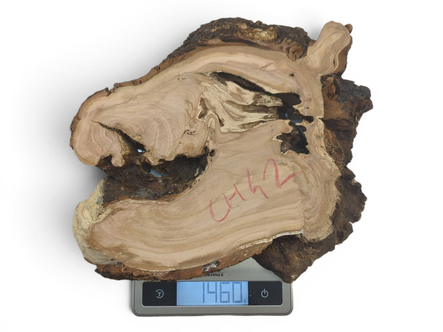 CH-042 | CH-042 (1).jpg