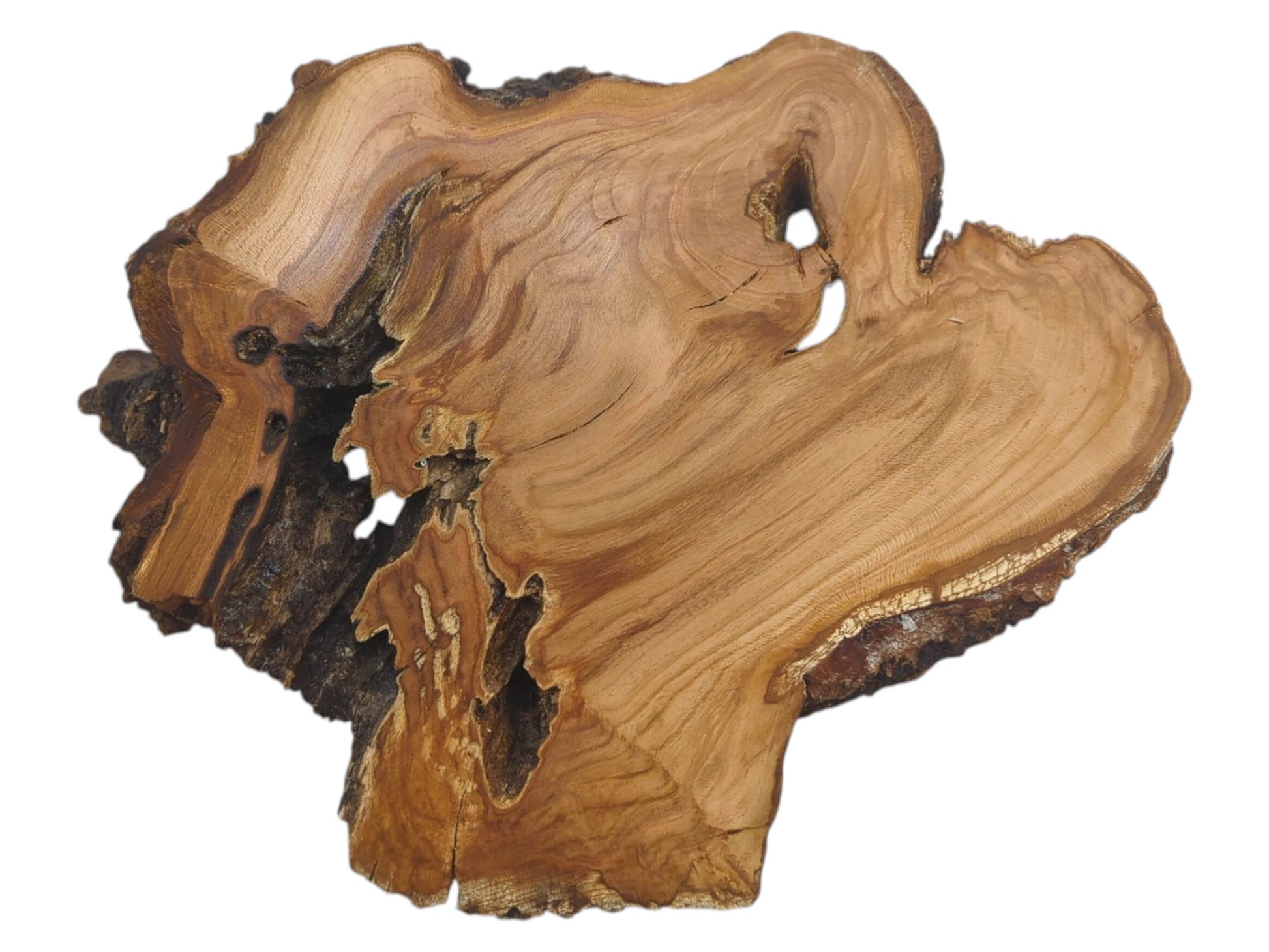 CH-042 | CH-042 (10) (0).jpg