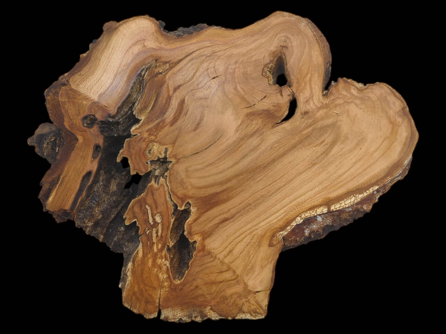 CH-042 | CH-042 (9) (0).jpg
