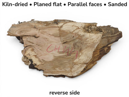 A light brown, irregularly shaped wood slab with a rough texture and visible grain.
