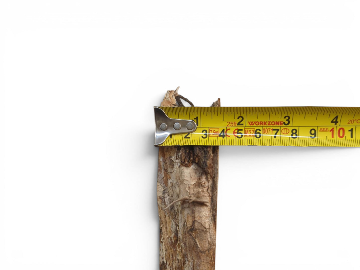 A close-up of a wild cherry wood slab with a measuring tape across its rough edge.