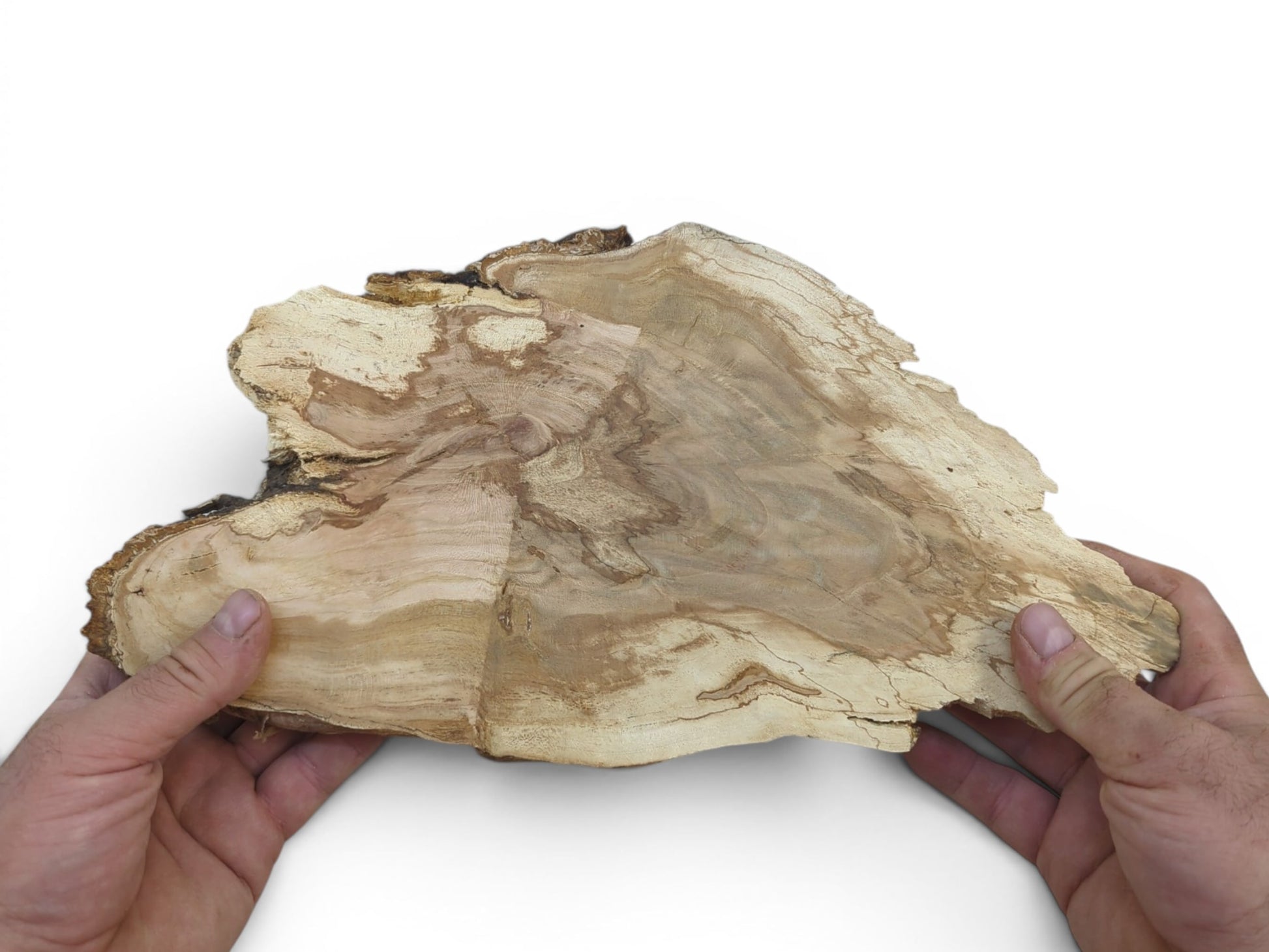 Two hands hold an irregularly shaped wild cherry wood slab with a light brown grain.