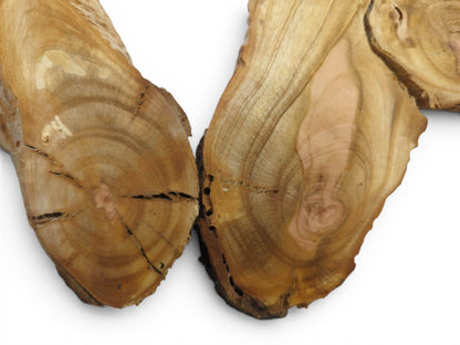 Close-up of two raw wild cherry wood slices with visible growth rings and natural cracks.