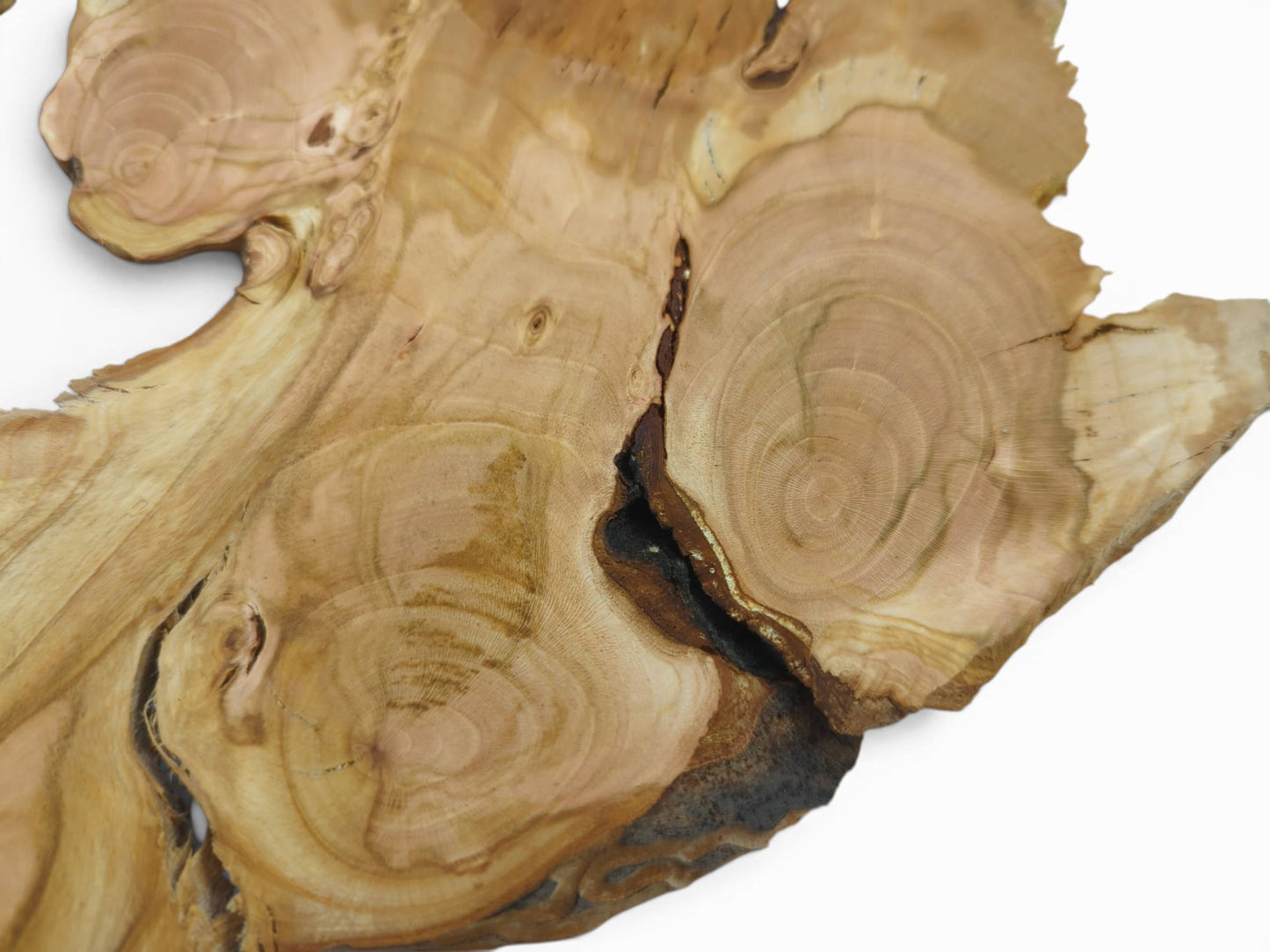 Close-up of a light brown wild cherry wood slice with visible growth rings and natural cracks.
