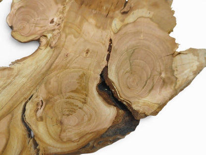 Close-up of a light brown wild cherry wood slice with visible growth rings and natural cracks.