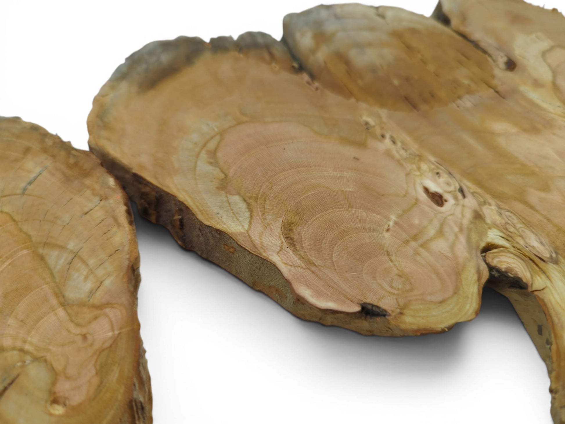 Close-up of three light brown wild cherry wood slices with visible growth rings and natural edges.