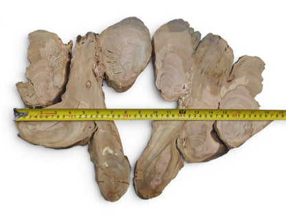 Several irregularly shaped wild cherry wood slices with visible growth rings and natural edges.