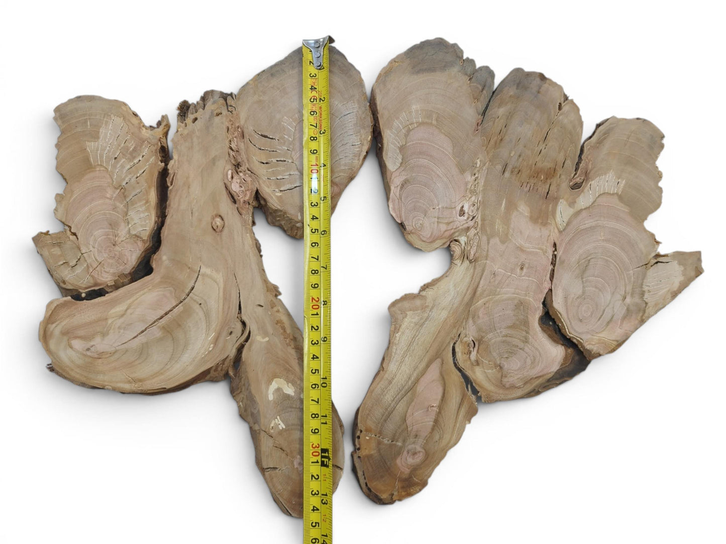 Two irregularly shaped wild cherry wood slices with visible growth rings and natural edges.