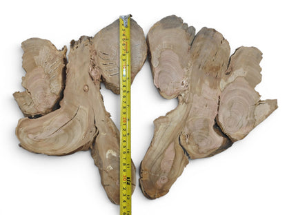 Two irregularly shaped wild cherry wood slices with visible growth rings and natural edges.