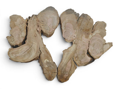 Two light brown wild cherry wood slices with natural edges and visible growth rings on a white background.