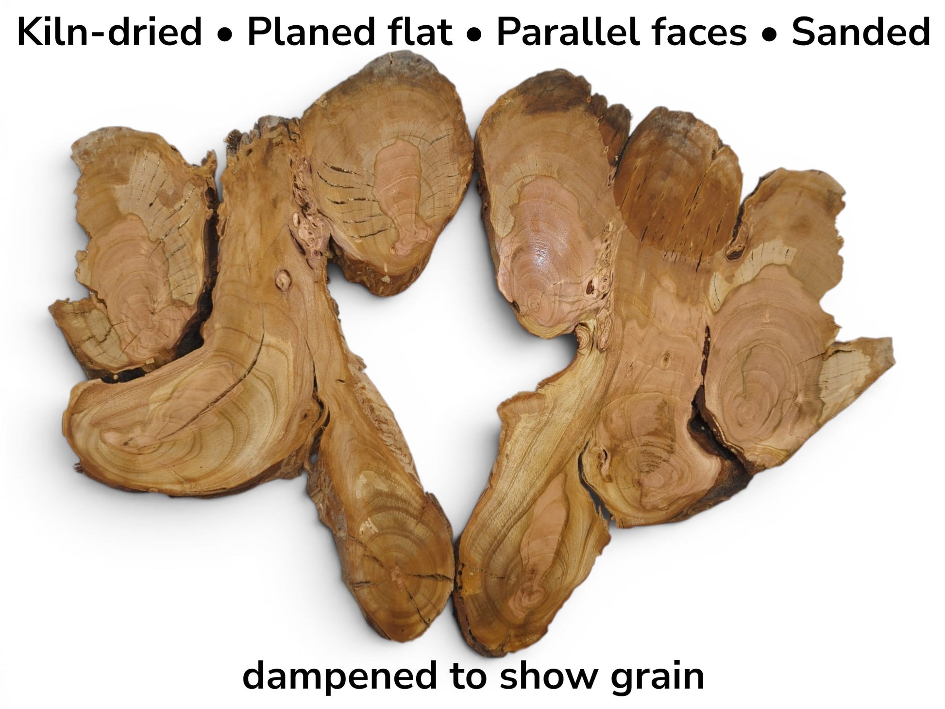 Two irregularly shaped, light brown wood slices with visible growth rings and natural edges on a white background.